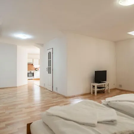 National Museum Apartment Near Wenceslas Sq. By Easybnb Апартаменты *
